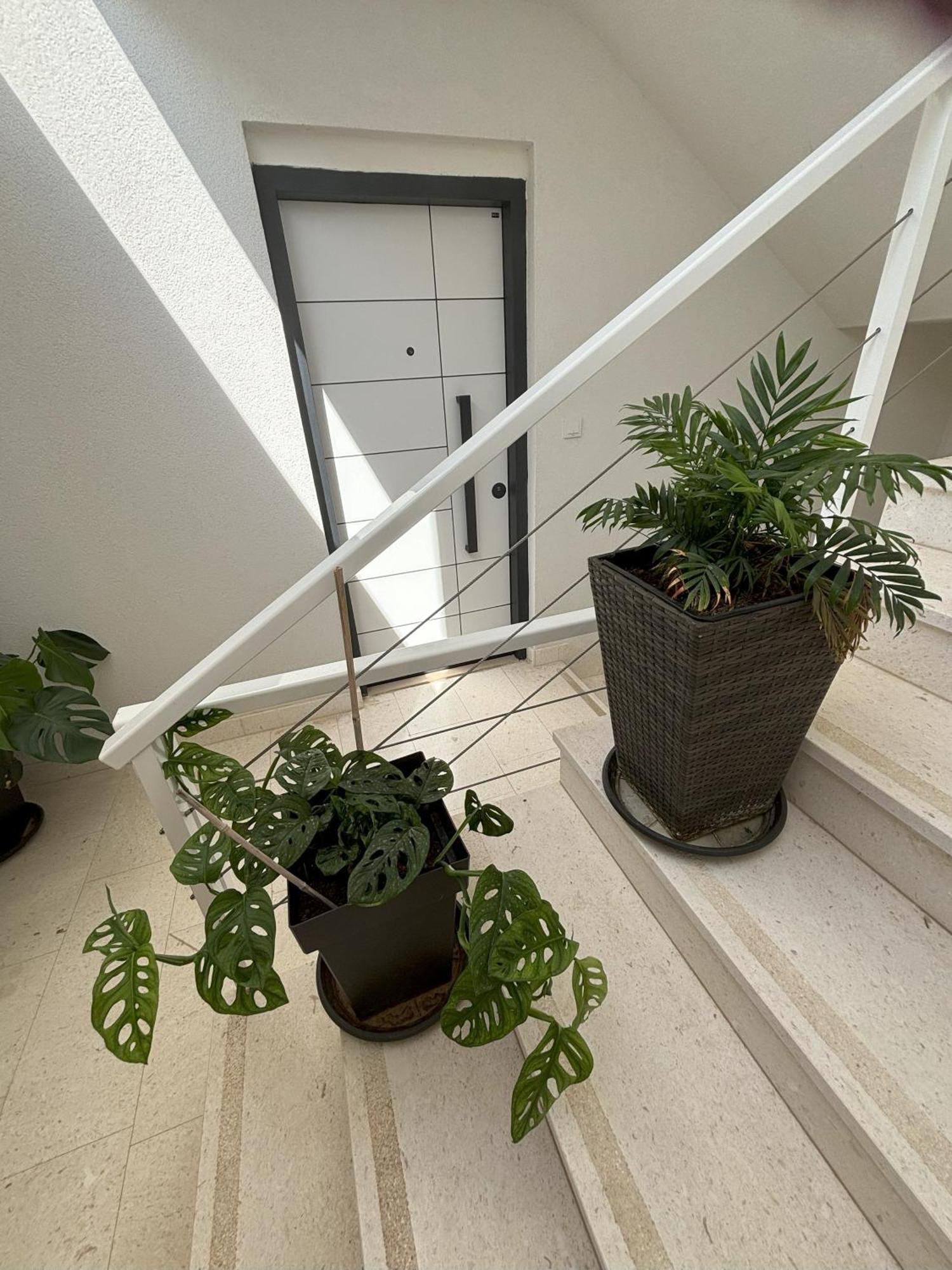 Vila Regina Apartment Paloma With Swimming Pool يزيرا المظهر الخارجي الصورة